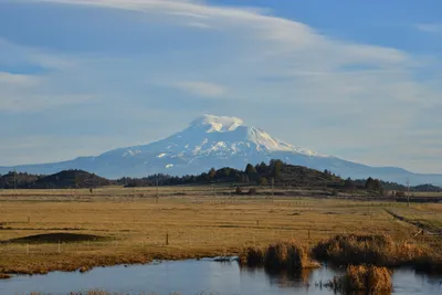 DSC_5994 (Large).JPG